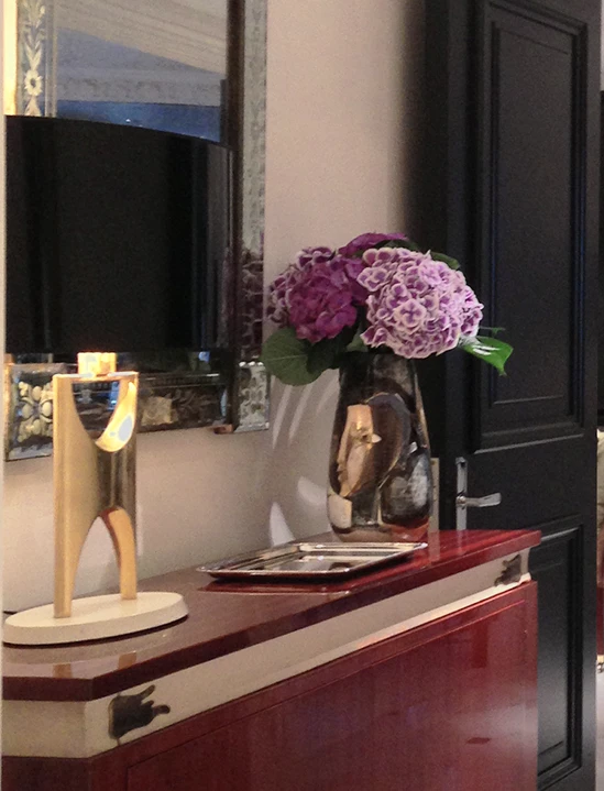 HIDE PARK PENTHOUSE Left Image 3